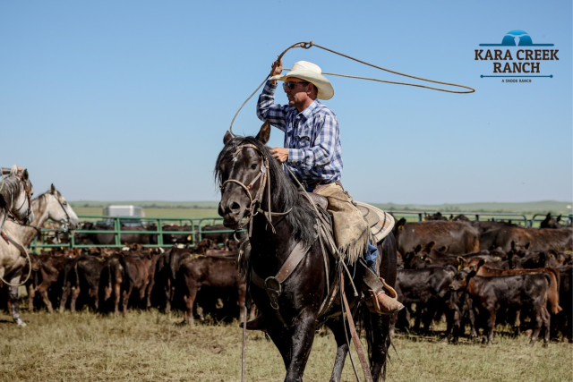 Cowboy Experience at Kara Creek Ranch